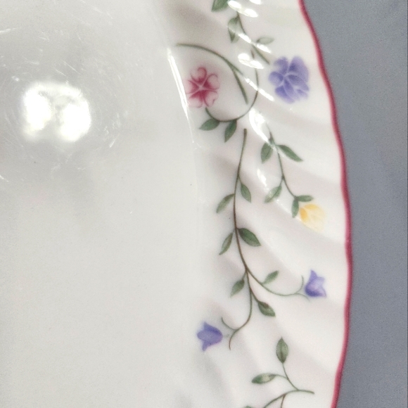Spring Plate - Picture 2 of 3